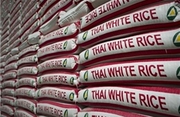 Thái Lan và hành trình giành lại ngôi vị xuất khẩu gạo số 1 thế giới 